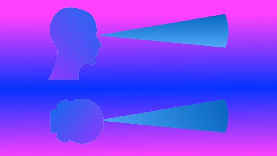 Transpersonal Image 05: An upright blue head and a rotated head each project a cyan wedge against a pink and blue field.